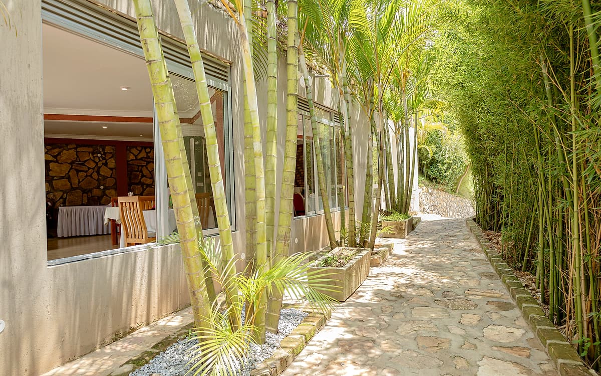 The bamboo walk beside the restaurant