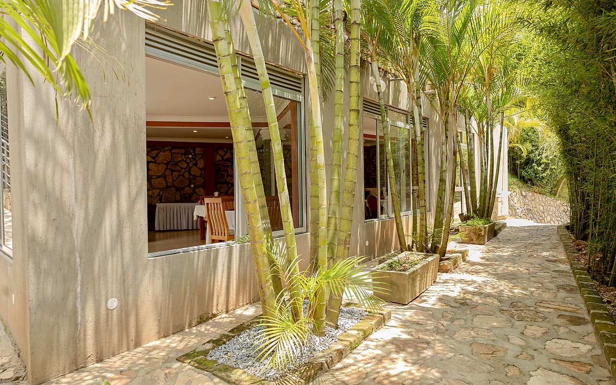 The stone path through the bamboo