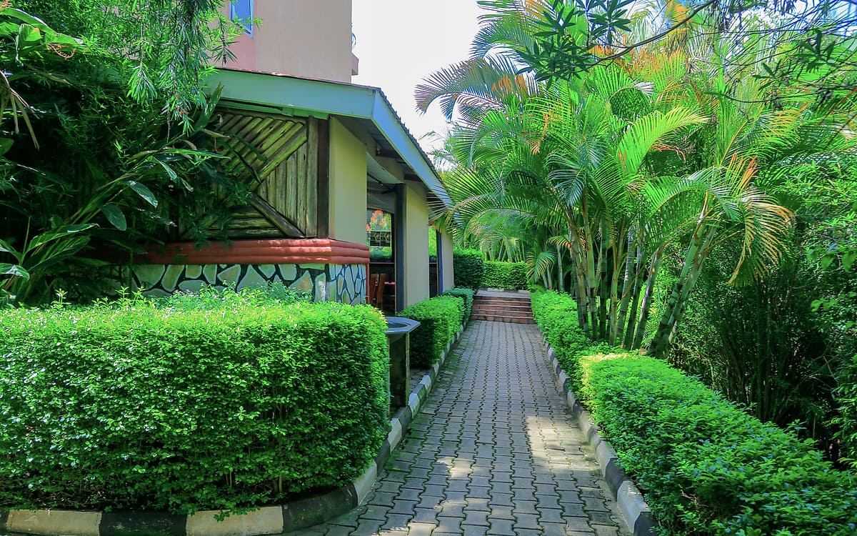 A paved walk beneath palms and flowering hedges