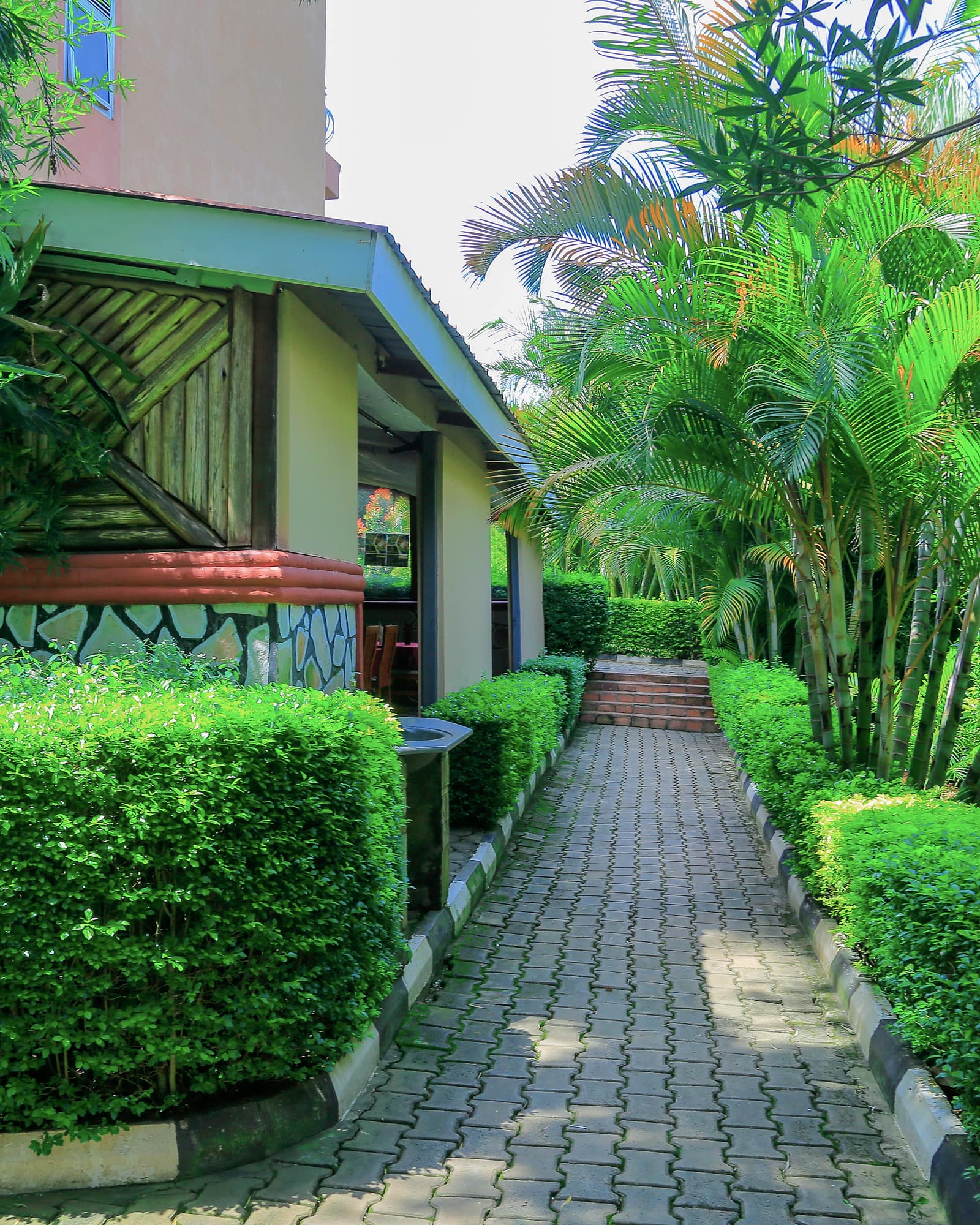 A paved walk beneath palms and flowering hedges in the gardens at Hotel Premier
