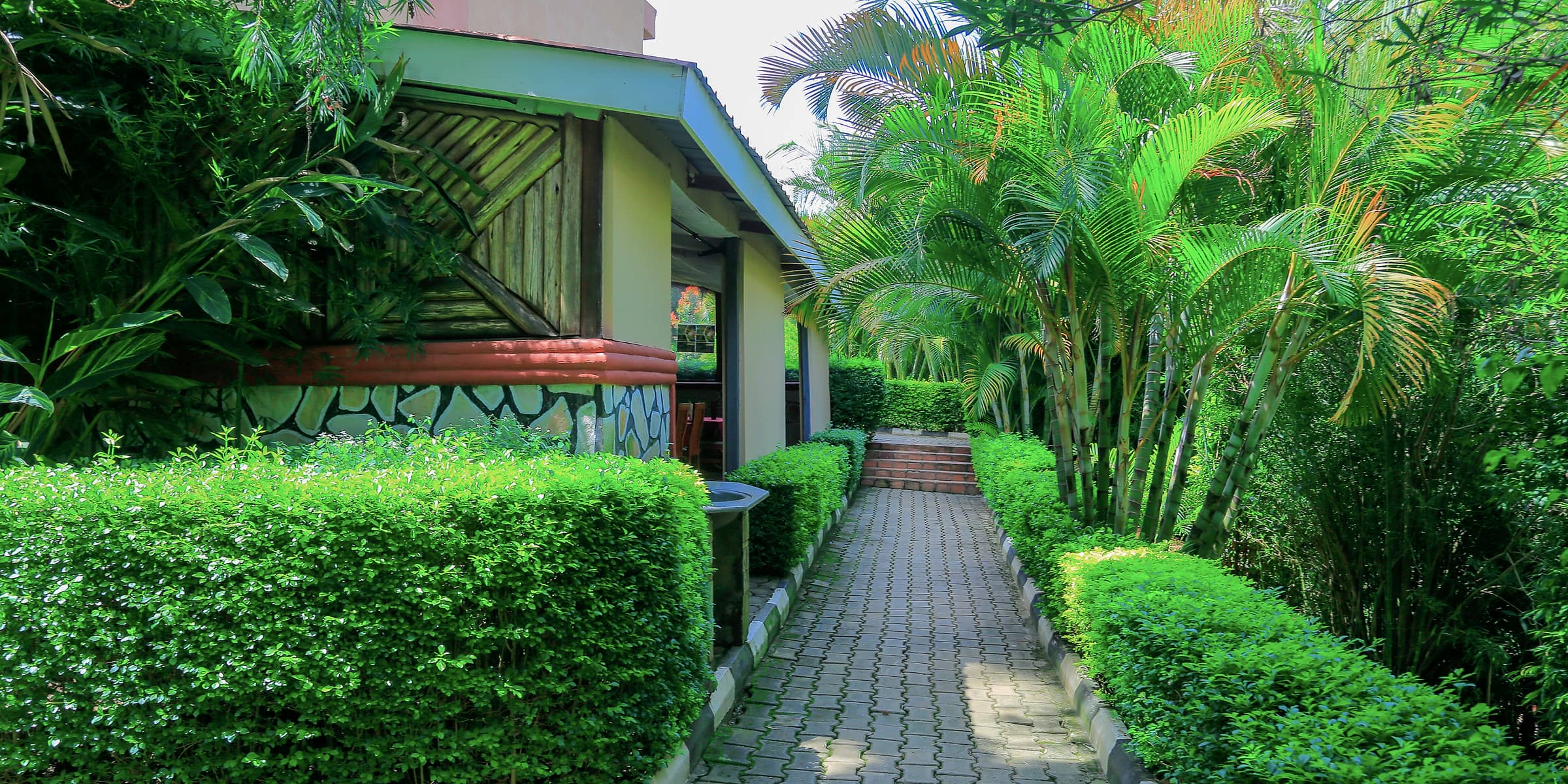 The palm-lined walk through the gardens at Hotel Premier